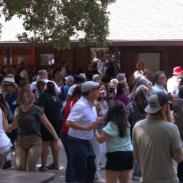 Bay Area latin jazz festival 